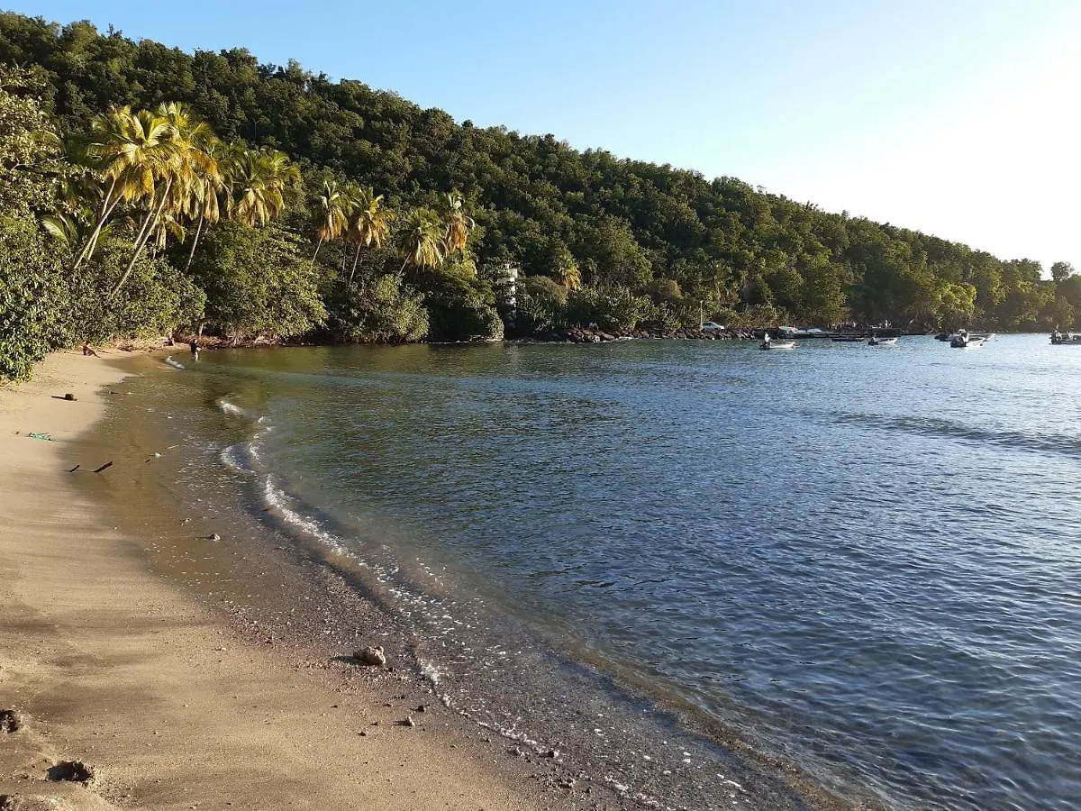 Hébergement de vacances Les Gites Capra - Papaye Bouillante Guadeloupe